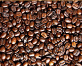 roasted coffee