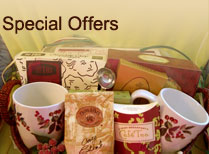 special offers